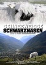 Schneeweisse Schwarznasen